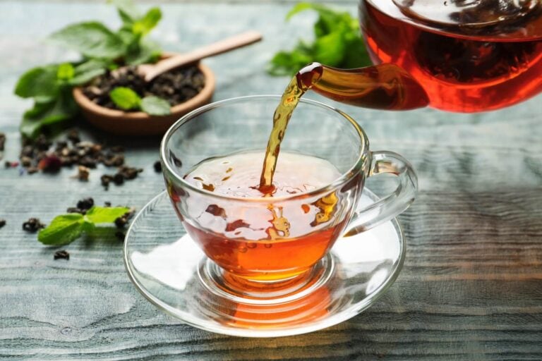 Elektrische Teebereiter aus Glas: Testsieger der Haus & Garten Test 2/2023 ist der Gastroback Tee Automat Plus