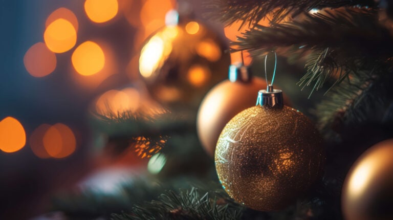 Weihnachtsbaum kaufen: Infos zu Arten, Transport, Pflege und wo Sie den Weihnachtsbaum selber schlagen können