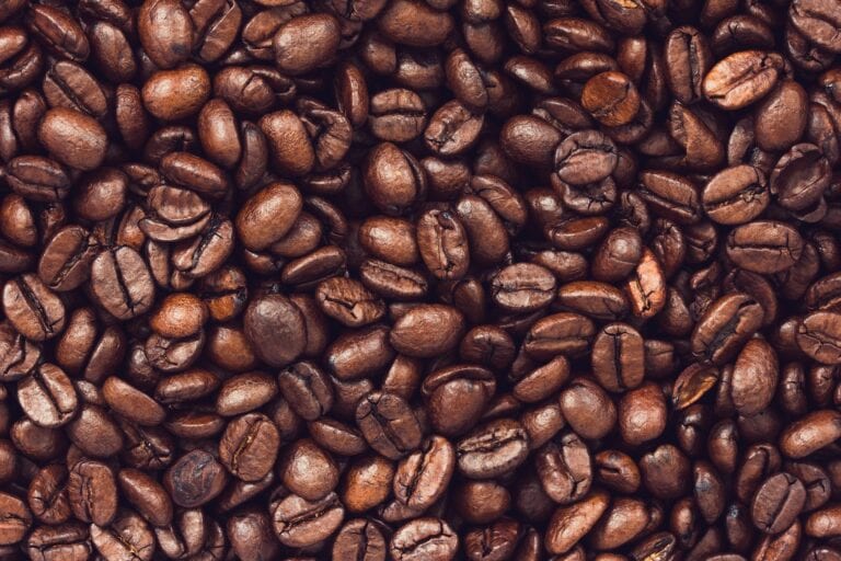 Kaffeemühlen Testsieger 2025: Die besten Modelle für Filterkaffee, Espresso und French Press