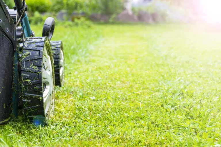 Akku- oder Benzin-Rasenmäher? Ein Test der Haus & Garten Test gibt Antwort